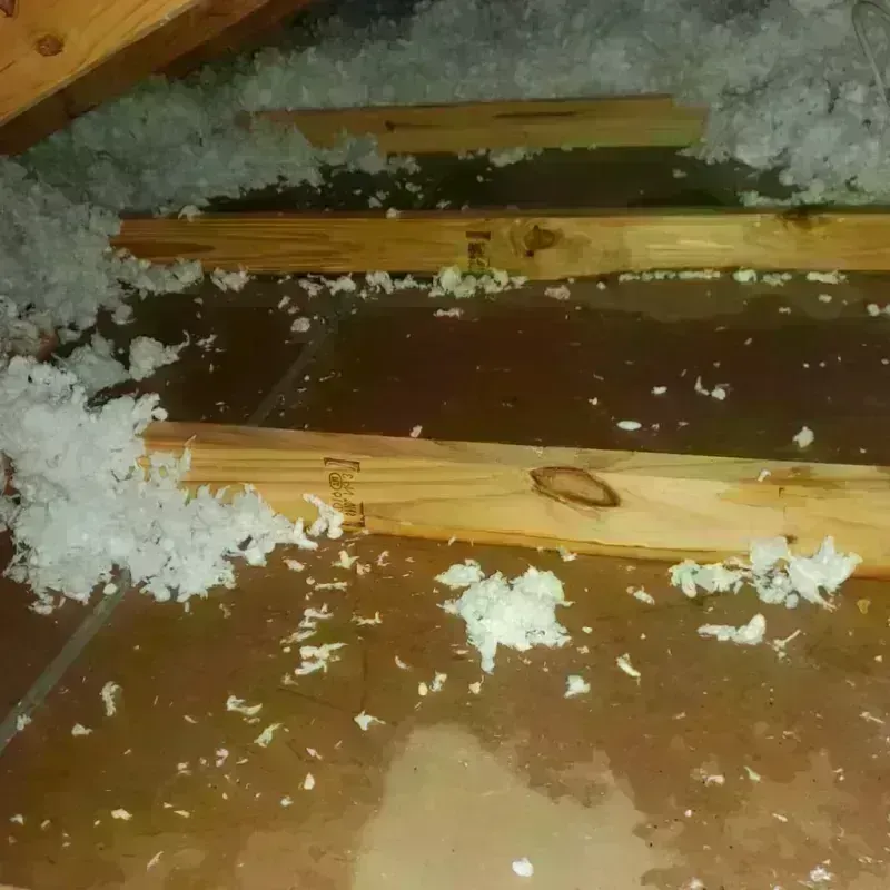 Attic Water Damage in Guthrie, TX