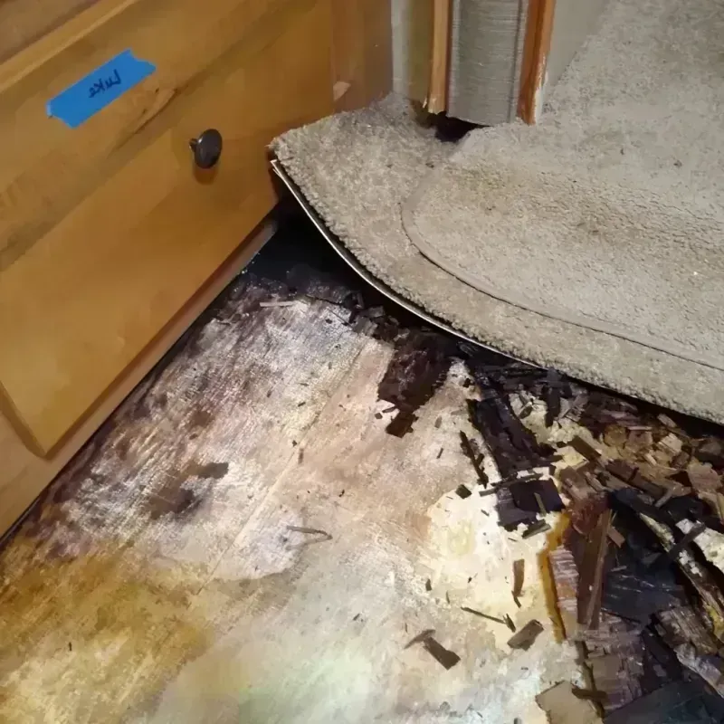 Wood Floor Water Damage in Guthrie, TX